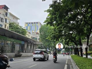 Biệt thự giảng võ, ba đình ô tô vào nhà 157m2, giá 50 tỷ