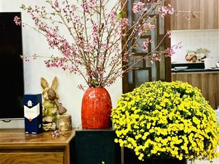Cần bán căn hộ 173 xuân thủy cạnh đại học quốc gia 91m2 2 ngủ 2 vs, sửa được 3 ngủ full đồ