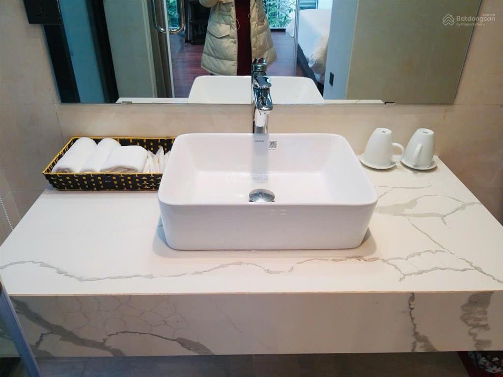 Villa 2 mặt thoáng 163m², mặt hướng hồ đại lải, lưng tựa rừng thông, sân vườn, bể bơi to 15,8 tỷ