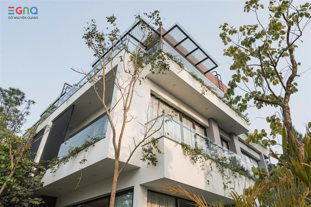Villa 2 mặt thoáng 163m², mặt hướng hồ đại lải, lưng tựa rừng thông, sân vườn, bể bơi to 15,8 tỷ