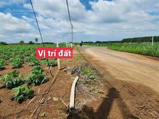 Bán đất sào 1000m2, ngang 15.5m mặt tiền đường nhựa, xã hưng thịnh