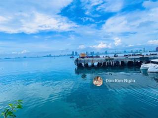 Bán đất biệt thự lê văn lương ngay công viên đại dương  mt hướng biển, lưng tựa núi sơn trà.