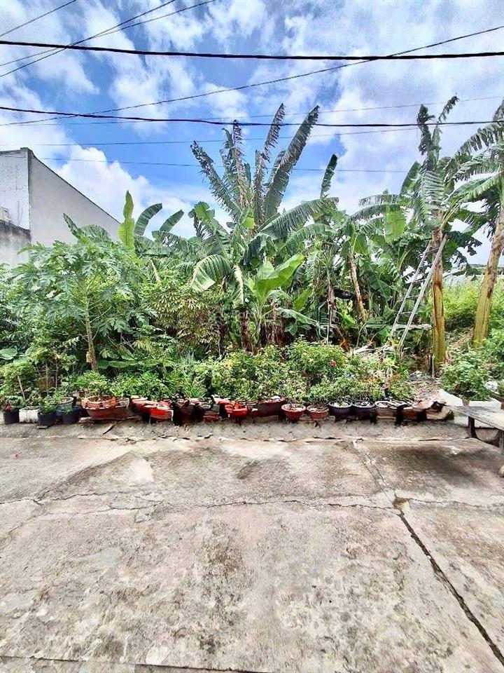 Bán lô đất đẹp phù hợp xây biệt thự sân vườn  264m2  ngang 14m  giá chỉ 7,2 tỷ