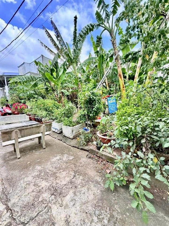 Bán lô đất đẹp phù hợp xây biệt thự sân vườn  264m2  ngang 14m  giá chỉ 7,2 tỷ