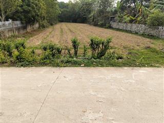 Cần tiền bán đất gần 1000m2 chỉ 2tr/m2 thuộc hoa lư tháng 7 này