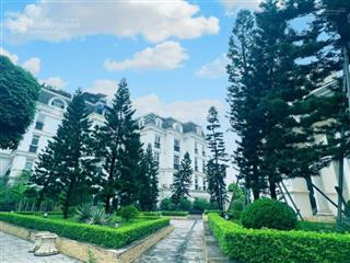 Bán liền kề sa đôi, 100m2 mặt đường đại mỗ, giá 15 tỷ siêu tốt