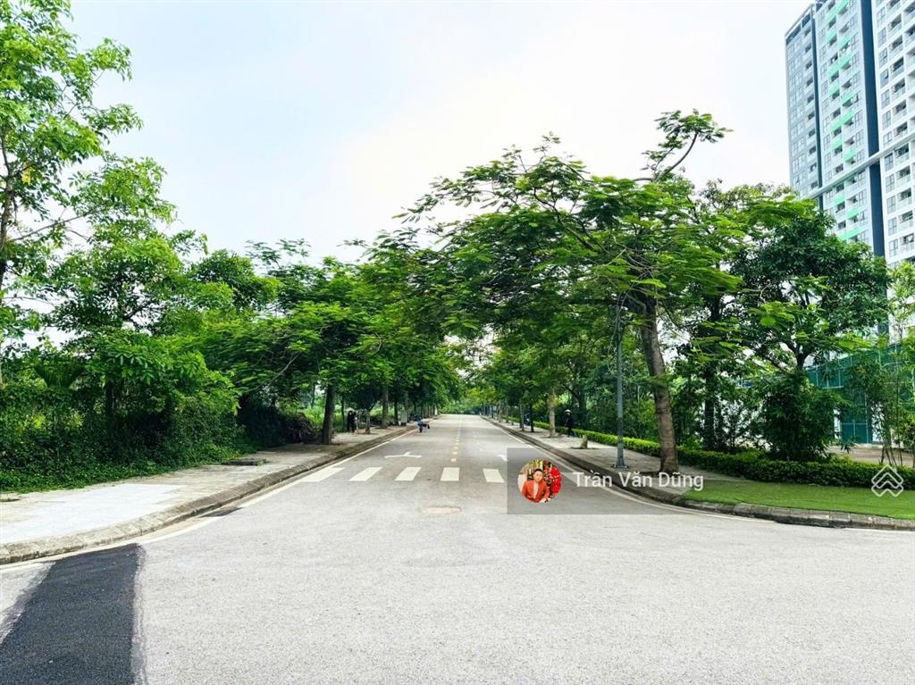 Bán gấp! đất nền dragon park hải long trang văn giang hưng yên 99m2/mt7m/đường 13.5m hướng đông nam