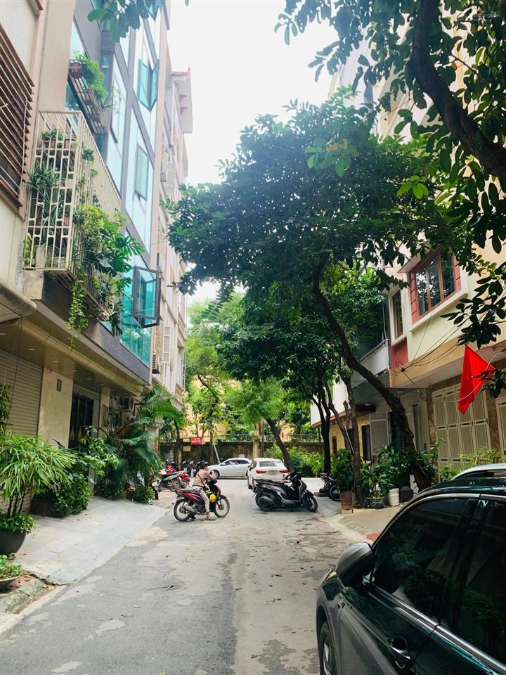 Phùng chí kiên  cầu giấy. dt 56m, ô tô tránh đỗ thoải mái. qh đất ở đô thị. 20 tỉ