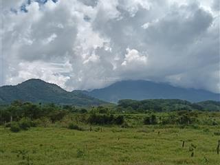 Bán đất ở xã ba, đông giang, quảng nam, s= 9500 m2.giá thỏa thuận