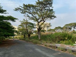 Hàng hiếm! đất kdc minh long 7x20m  đường nhựa 20m  chỉ 4.5 tỷ ( thương lượng)  đầu tư tốt