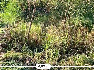 Đất đấu giá khánh hà thường tín 73 m giá 4,7 tỷ
