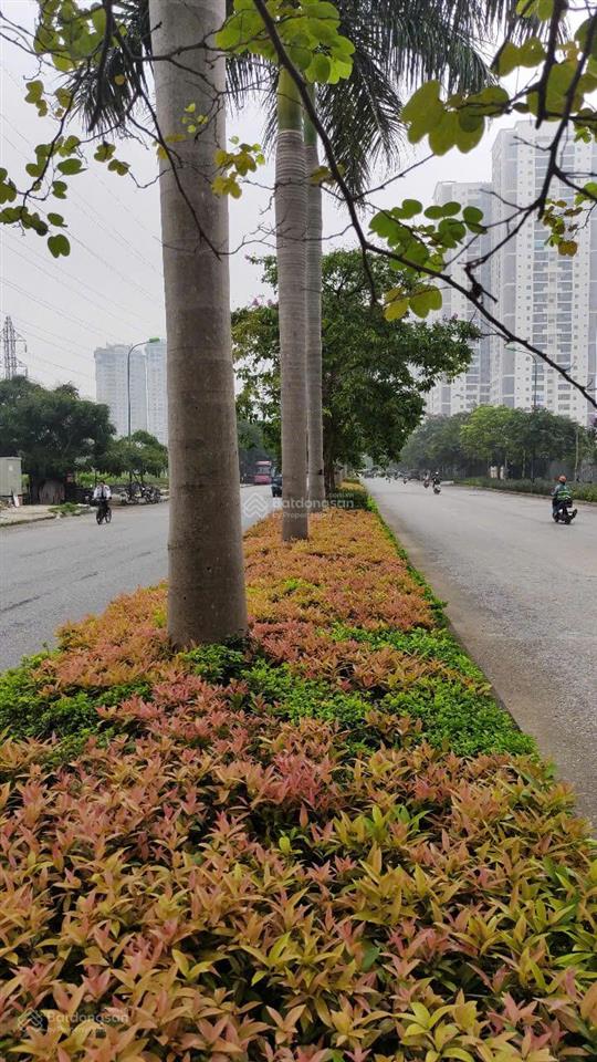 Gấp! đất phú thượng, tây hồ. dt 110m2. giá 20 tỷ gara, ô tô tránh, kd dòng tiền. hàng xóm ciputra