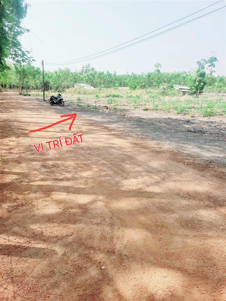 Giá 450 triệu  dt 10x100m = 1000m2 đất chơn thành  bình phước