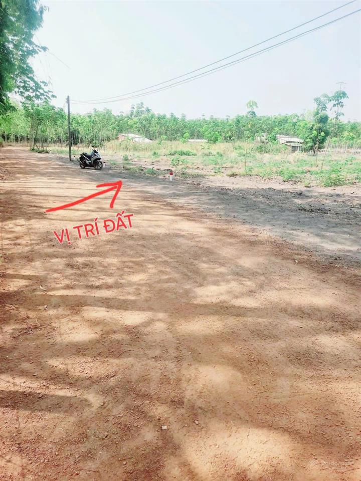 Lô rẻ nhất bàu bàng  dt 5x39 = 195m2  80m thổ cư  giá 820tr