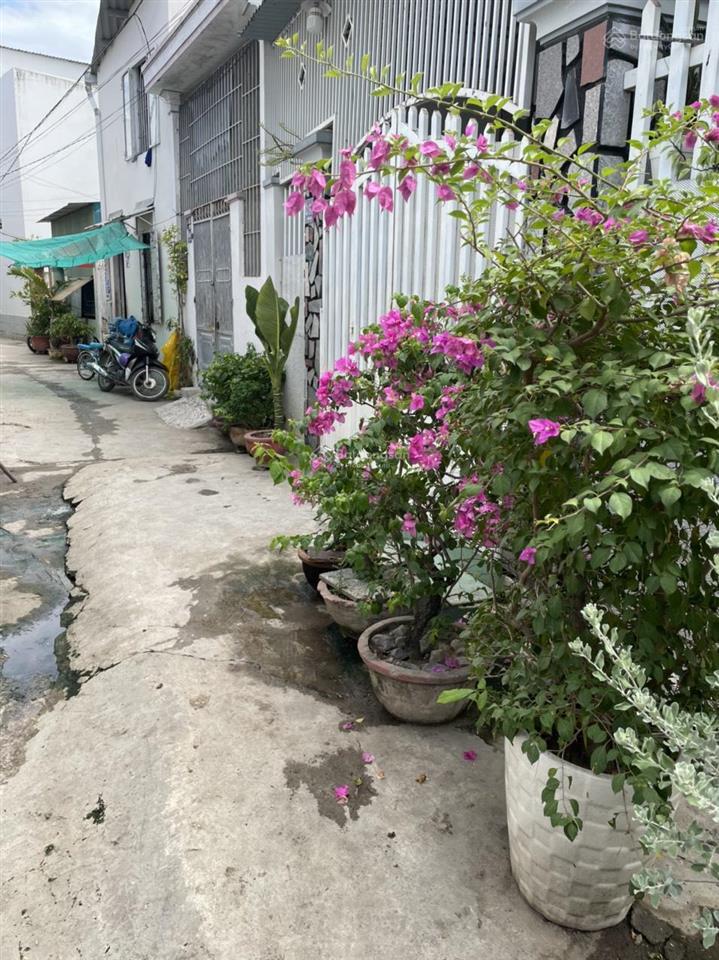 Đất bán vĩnh điềm trung, ngọc hiệp, nha trang, khánh hòa, 396,9 m² (đất ở), giá 16 tỷ