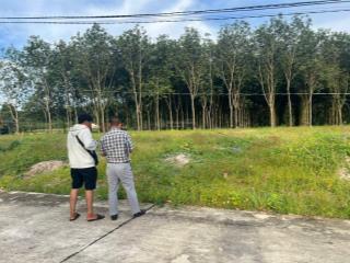 Nhà mình có lô đất đẹp cần bán gấp cho anh chị nào đang tìm đất sổ riêng, ngay khu công nghiệp nhé