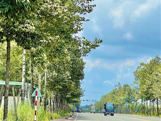 Bán đất 150m2 đường da1 đối diện đại học thủ dầu một, mỹ phước 4, thới hoà, tp hcm