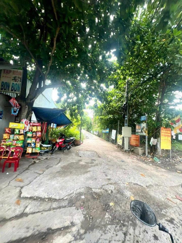 Trung tâm thị trấn tân túc  bình chánh  tp hcm chủ cần bán gấp giảm 700tr, chỉ còn hơn 15tr/m2