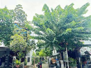 Bán đất 10,5m trần tử bình, hoà xuân giá chỉ nhỉnh 4 tỷ.