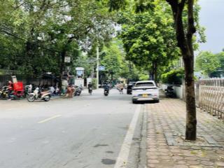 Mặt phố đống đavỉa hèô tô tải tránhkinh doanh đỉnh cao dt 100mmt 6m rẻ hơn ngõ chỉ 50tỷ