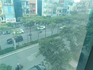 Mặt phố đào tấn rẻ hơn ngõ lô góc pháp lý sạch sổ đỏ đẹp dt 115m*7 tầng thang máy giá 50 tỷ nhỉnh