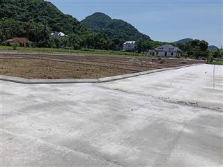 Gia đình cần bán gấp 4 lô đất liền kề để trả nợ ngân hàng