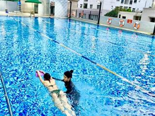 Sàn thương mại, dịch vụ & bể bơi vô cực chung cư cao cấp tố hữu. sổ đỏ lâu dài, ~3000m2 chỉ 58 tỷ