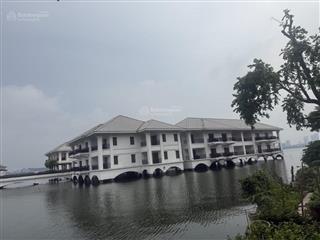 Bán nr tại phố từ hoa, 45 tỷ, 115m2, hàng hiếm tại tây hồ, hà nội
