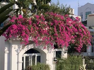 Bán biệt thự hoa mai  khu phan xích long p2 phú nhuận  8x18m 4 tầng  giá 51.5 tỷ