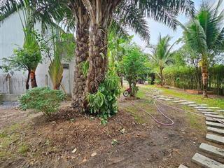 Mình cần cho thuê resort mini nghỉ dưỡng , xã phước thạnh , huyện củ chi ( giáp cổng chào tây ninh)