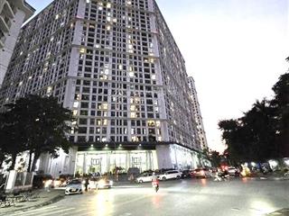 Chính chủ bán căn 4pn 3 vệ sinh diện tích 140,8m2 the emerald mỹ đình.giá 11,9tỷ. tặng nội thất