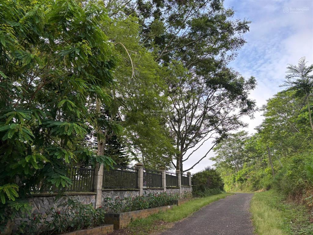 Bán đất tại lộc an, bảo lâm, lâm đồng, 100m2