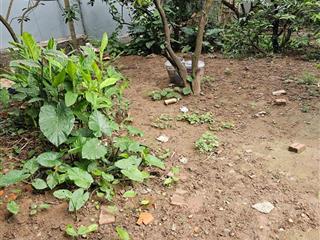 Bán đất đẹp xuất sắc liên mạc 4,55 tỷ, 52,9 m2, ô tô đỗ cổng