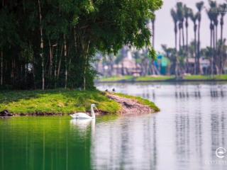 Bán căn hộ có 10m2 vườn mây sky retreat 3pn, 110m2 giá tốt nhất dự án, căn góc, tầng đẹp