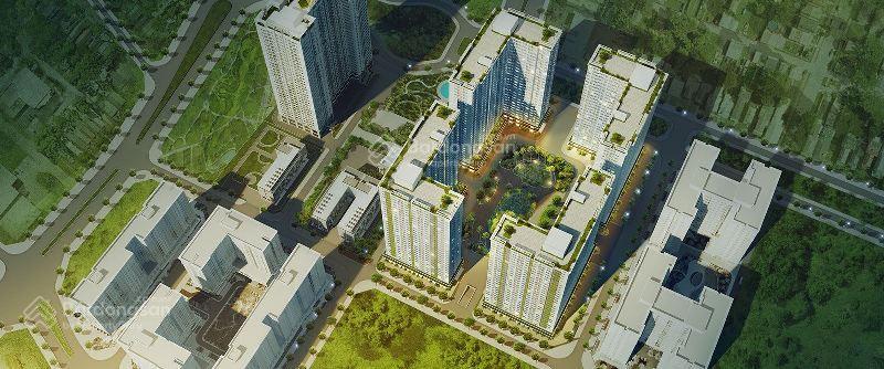 Bán shophouse thương mại tòa ecohome 3, bắc từ liêm 126m2 sổ đỏ lâu dài đang có dòng tiền