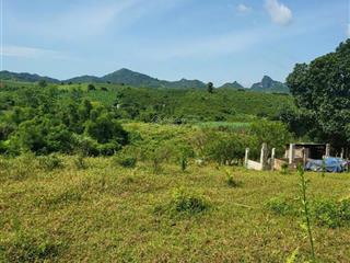 Chính chủ gửi lô đất 1,7ha tại cao phong ,hòa bình, giá chỉ 520n/m2,thế cao,view thoáng,bám suối
