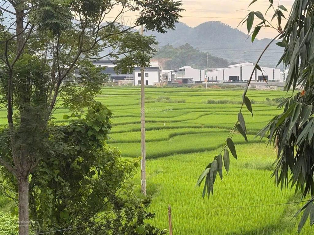 Chủ cắt bán 300m2 trục chính thôn luồng yên trung thạch thất. phía sau giáp kcn quang tiến