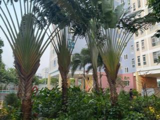 Chính chủ bán căn hộ valeo đầm sen, 100m, 3 phòng ngủ, view hồ bơi, sổ hồng, 5.3 tỷ tuấn 0901 499 ***