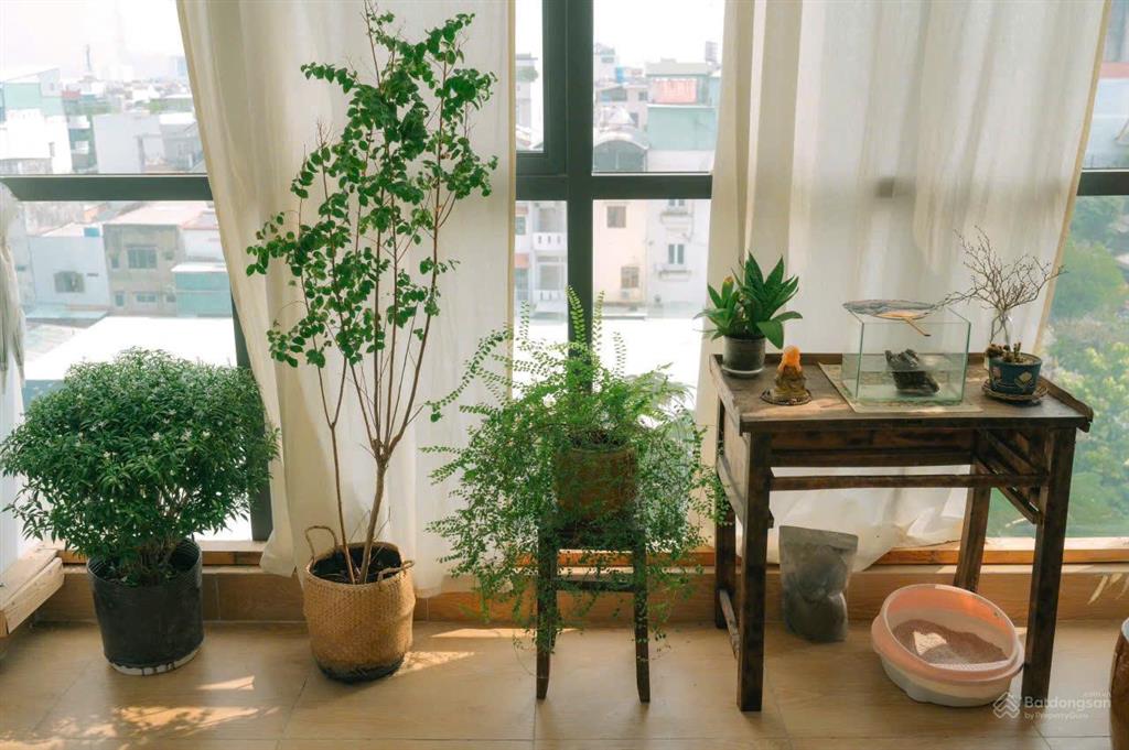 Building ngay cộng hòa, phường 13, quận tân bình  tòa nhà ngay ga t3, 8x19, hầm 5 lầu chỉ 37.9 tỷ