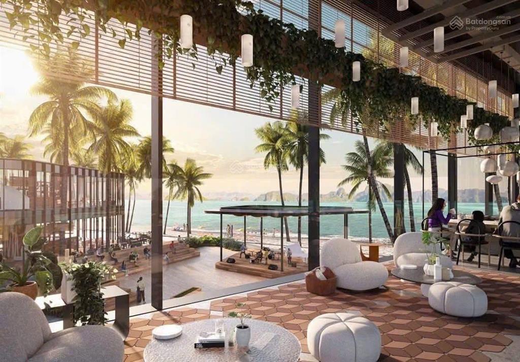 Căn hộ biển aria bay sát biển hạ long giá chỉ 1,7 tỷ diện tích 35m² rẻ hơn thị trường 200tr