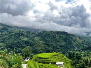 Bán đất nghỉ dưỡng sa pa, hàng hiếm tại cầu mây sa pa, 4,5 tỷ, 1235m2