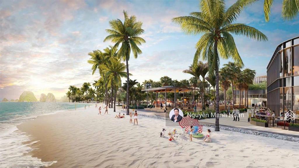 Quỹ 3 căn vip studio đông nam aria bay hạ long, tầng cao view vịnh hạ long, chiết khấu 17%