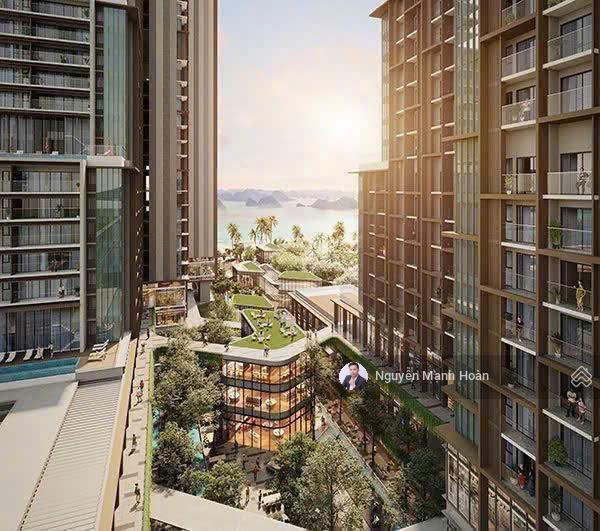 Quỹ 3 căn vip studio đông nam aria bay hạ long, tầng cao view vịnh hạ long, chiết khấu 17%