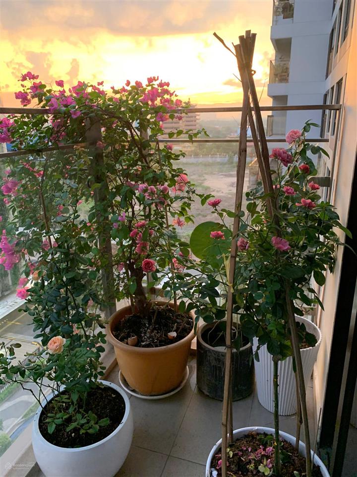 Bán căn hộ the estella heights 3 phòng ngủ đầy đủ nội thất đẹp view trọn hồ bơi đẹp giá 24 tỷ