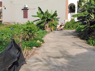 Siêu phẩm bán lô góc 60m2 đường ô tô giá rẻ đầu tư tại hoà phong, mỹ hào, hưng yên