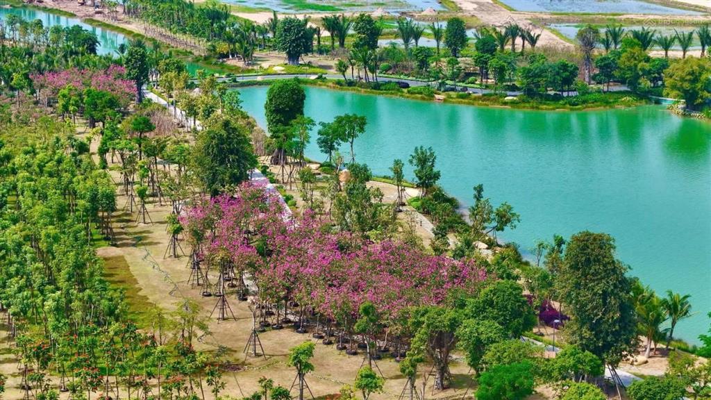 Đơn lập có hầm trải nghiệm view hồ thiên nga & suối mơ 2 căn 352m2/giá 29,8 và 39,6 tỷ. không hccn