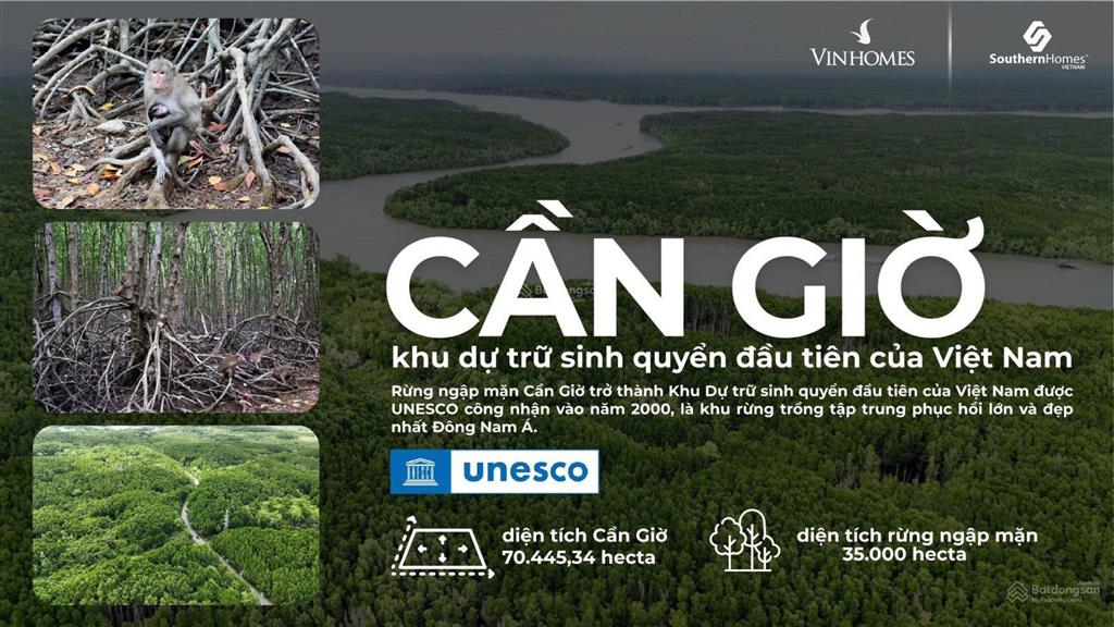 Vinhomes green paradise dự án nghỉ dưỡng hàng đầu booking 100tr có hoàn lại.  0918 423 *** mr quý