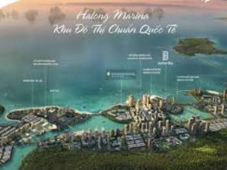 Quỹ căn vip nhất dự án grand bay villas, phân khu lagoon residences giá chỉ từ 8 tỷ tại bãi cháy
