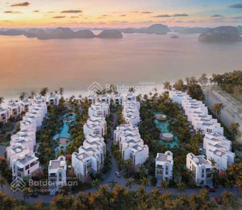 Em xuân bán căn ngoại giao giá đẹp, căn biệt thự biệt lập vip của bim group dt298