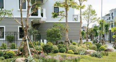 Em xuân bán căn ngoại giao giá đẹp, căn biệt thự biệt lập vip của bim group dt298